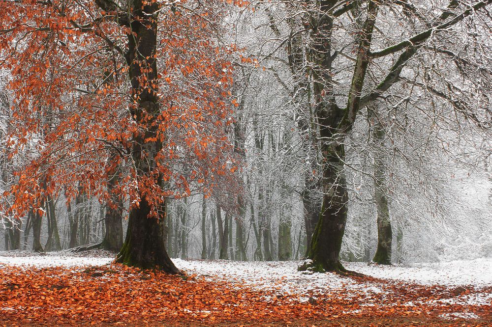 Photograph by Ali Memari