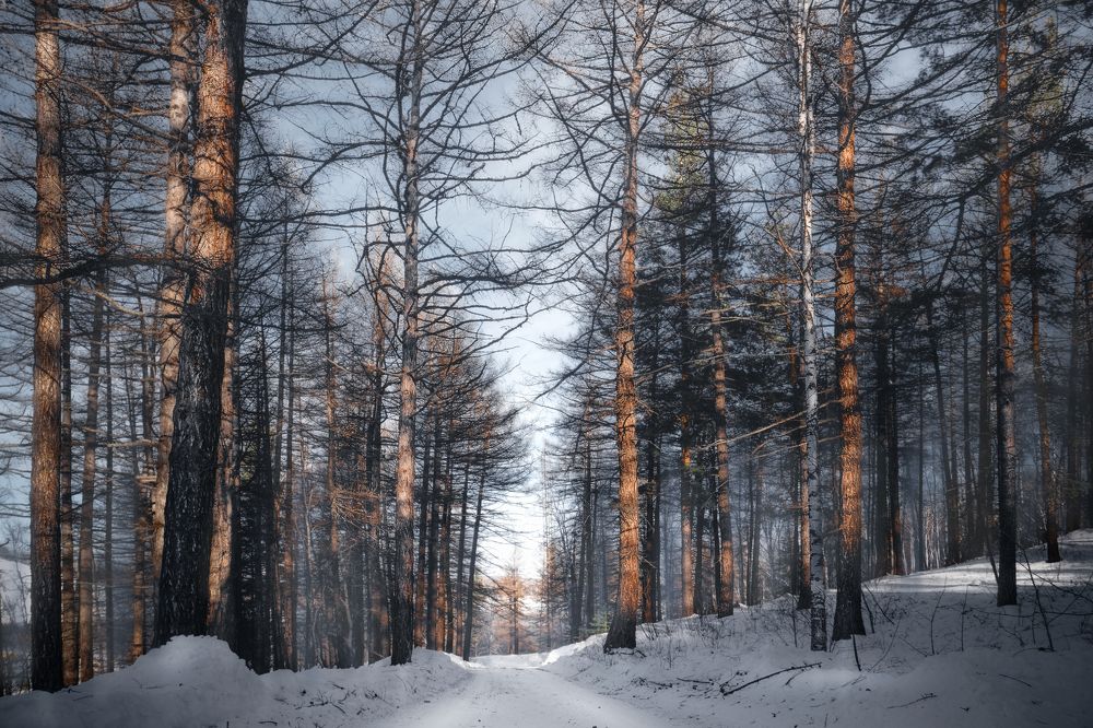 Photograph by Ivan Sazykin