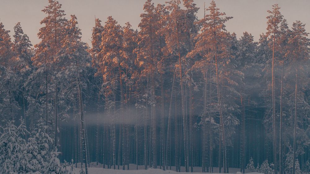 Photograph by Евгений Калагаев