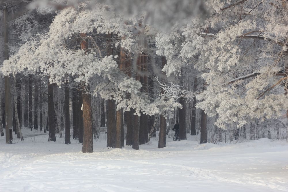 Photograph by Анна Киселёва