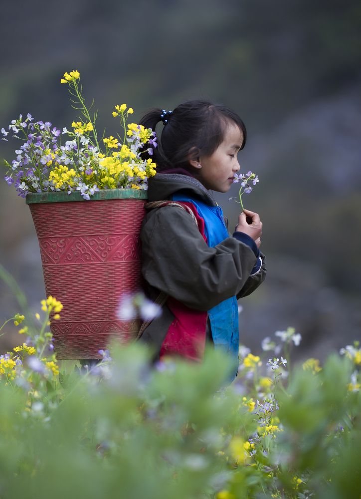 Canola flower season