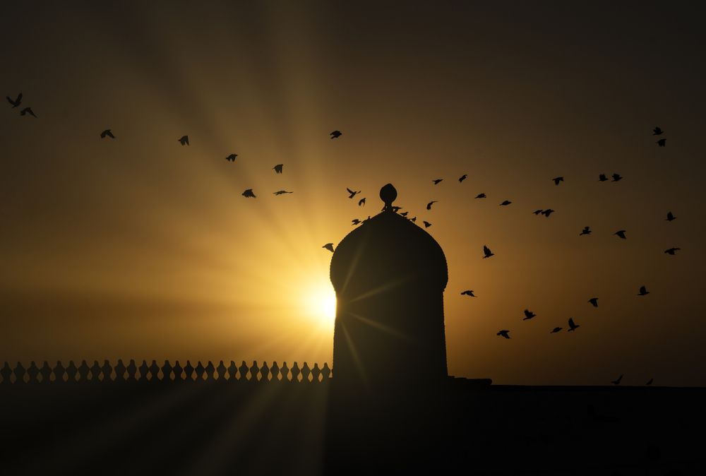 Photograph by Владимир Остапенко