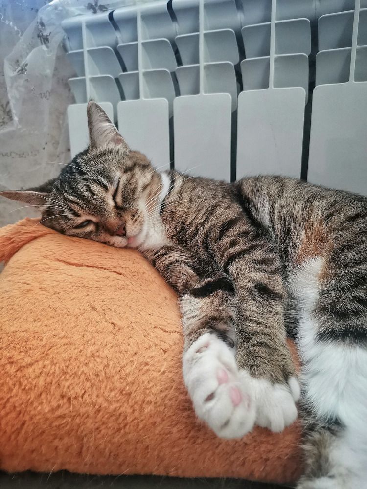 Photograph by Высотских Владимир