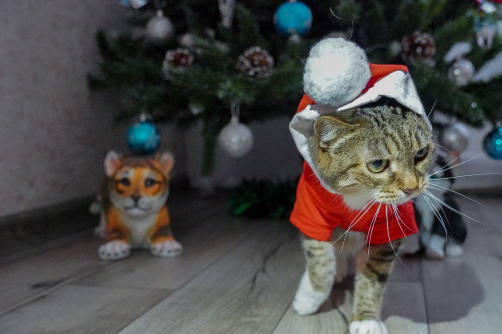 Photograph by Высотских Владимир