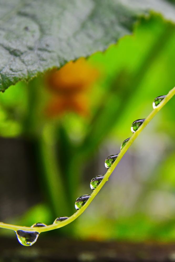 Photograph by Andrey