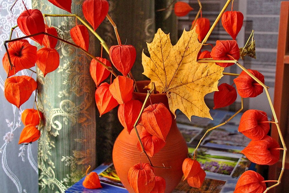 Photograph by Виталий Симоненков