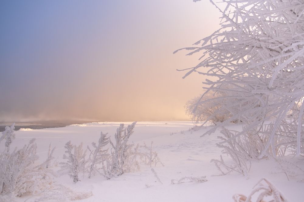 Photograph by Павел Петухов