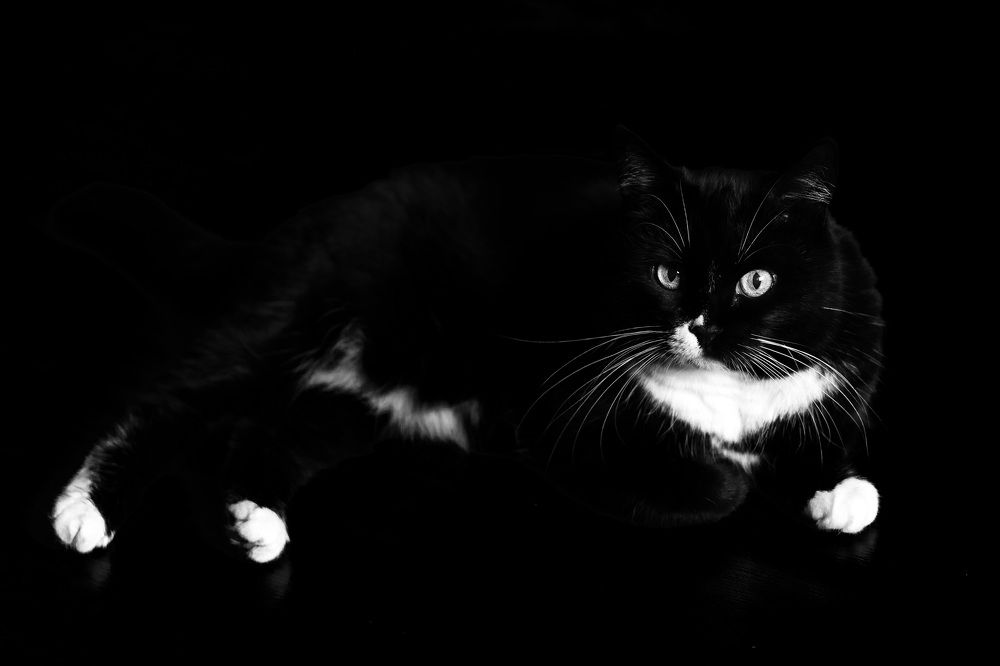 Photograph by Максим Зеньков