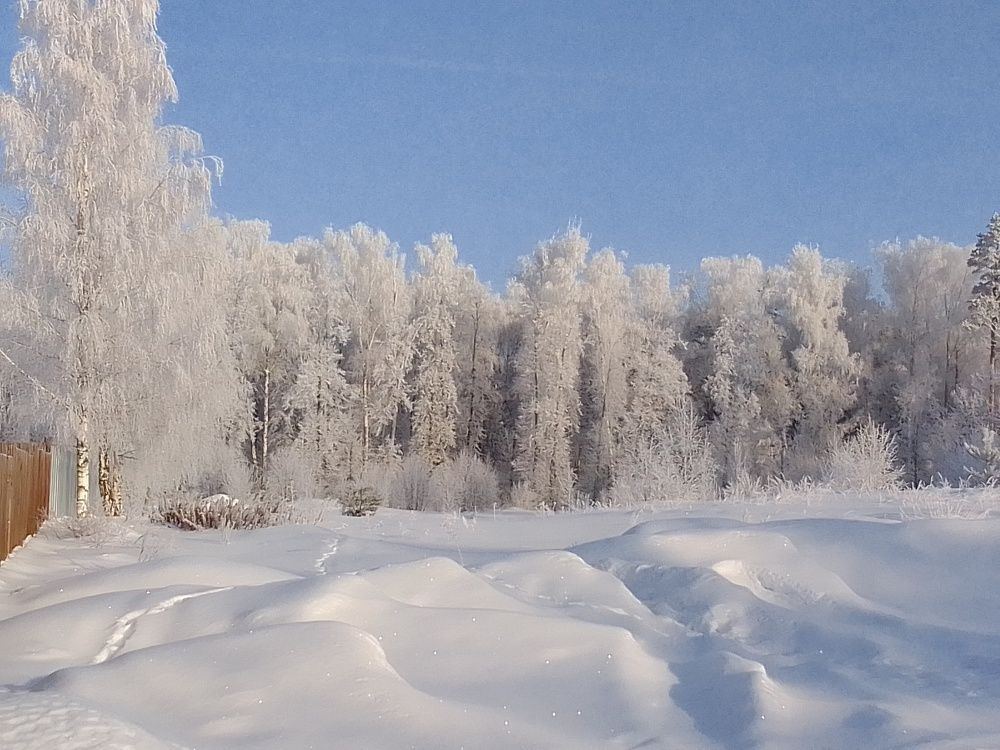 Photo #8713184