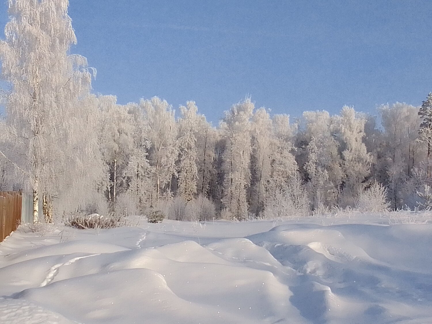 Photo #8713184