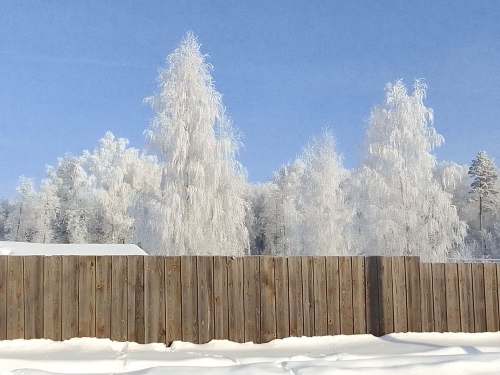Photo #8713185