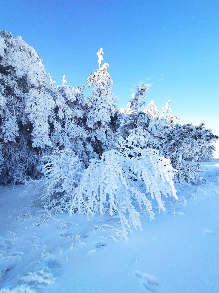 Фотография автора Елена Александрова