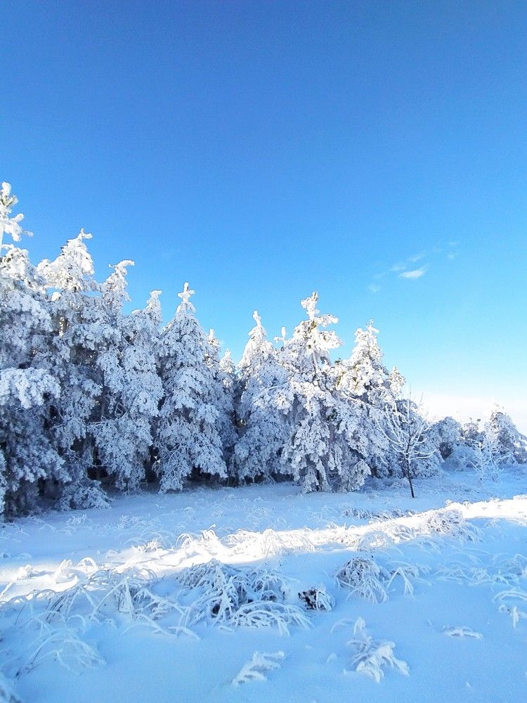 Фотография автора Елена Александрова