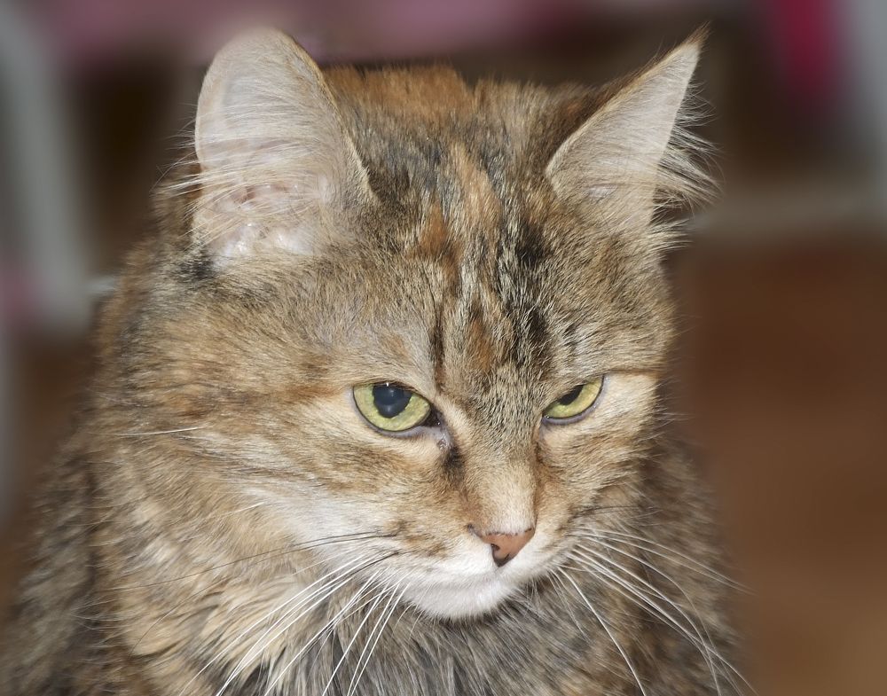 Photograph by Александр Штифман