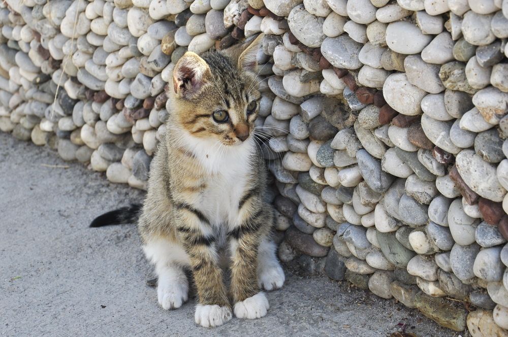 Photograph by Александр Штифман