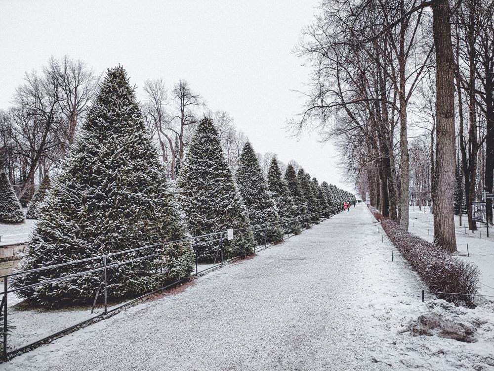 Петергоф в январе