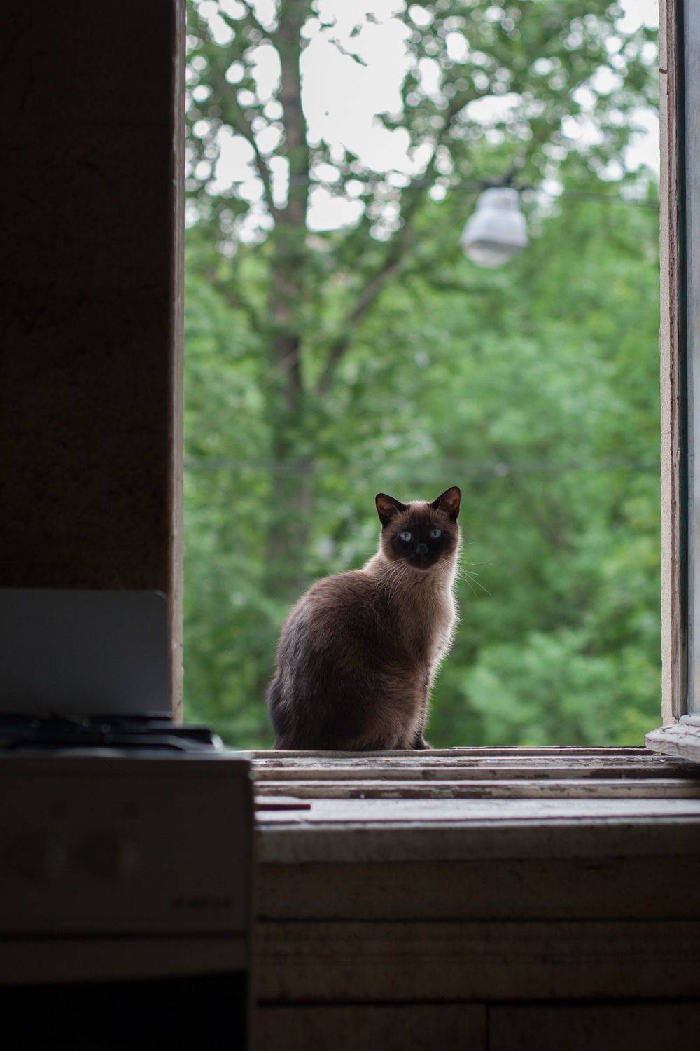 Photo #8713281