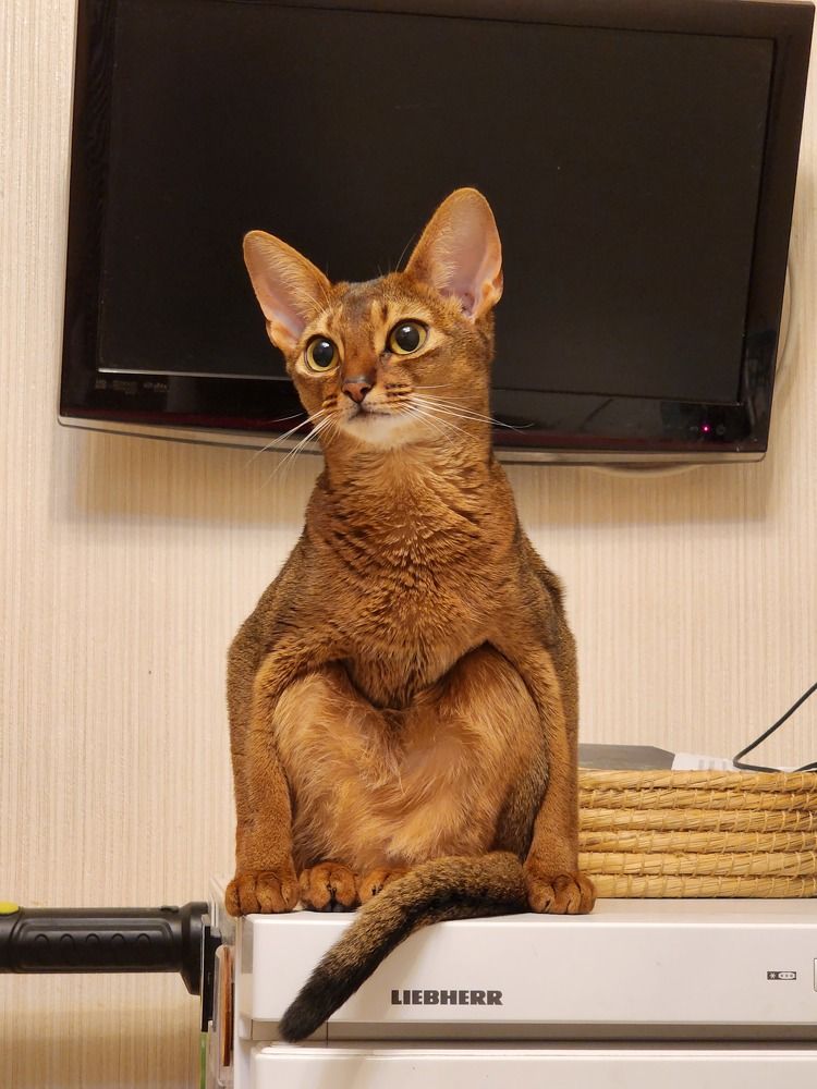 Photograph by Анна Липоткина