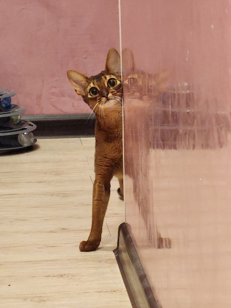 Photograph by Анна Липоткина