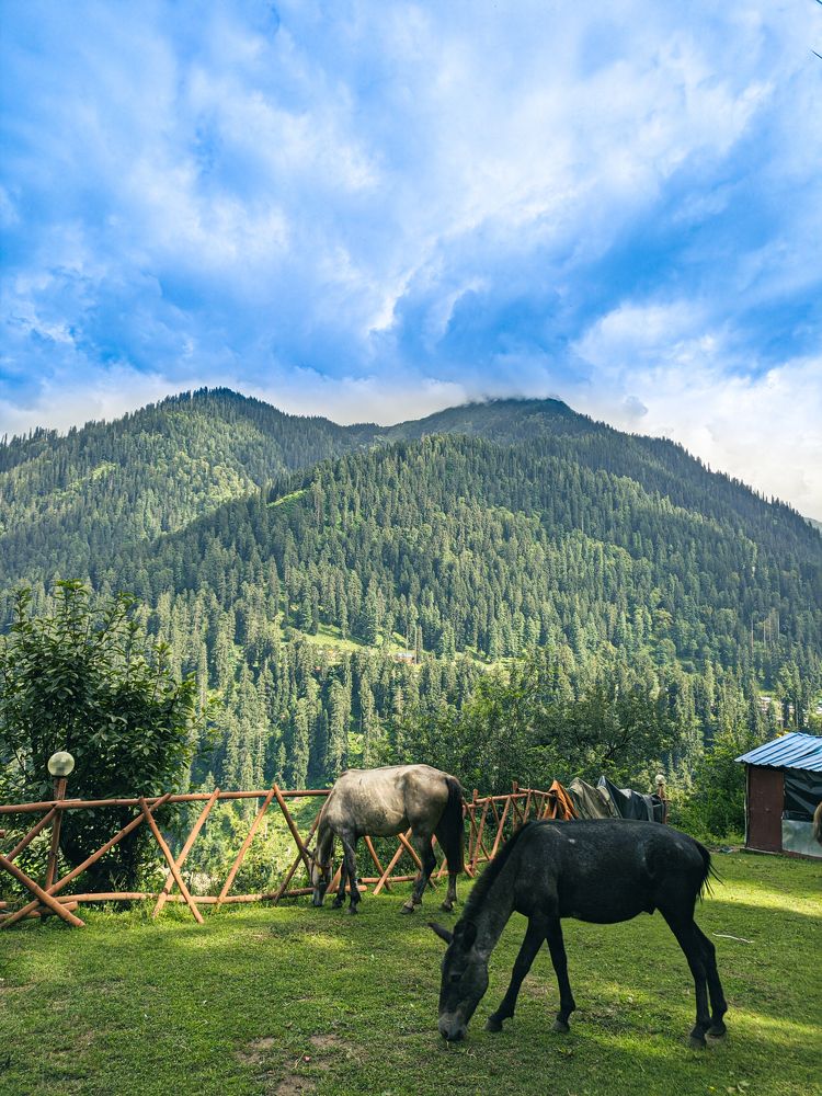 Photograph by aakaash vp