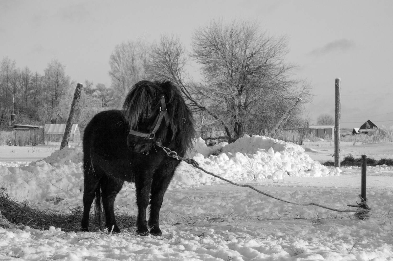 Photo #8713335