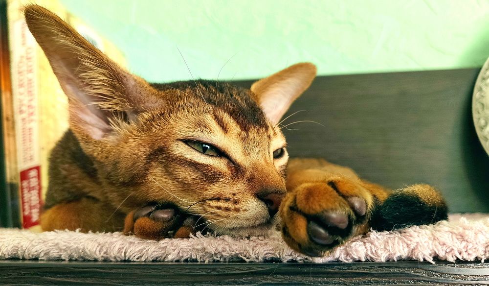 Photograph by Алексей Хазов