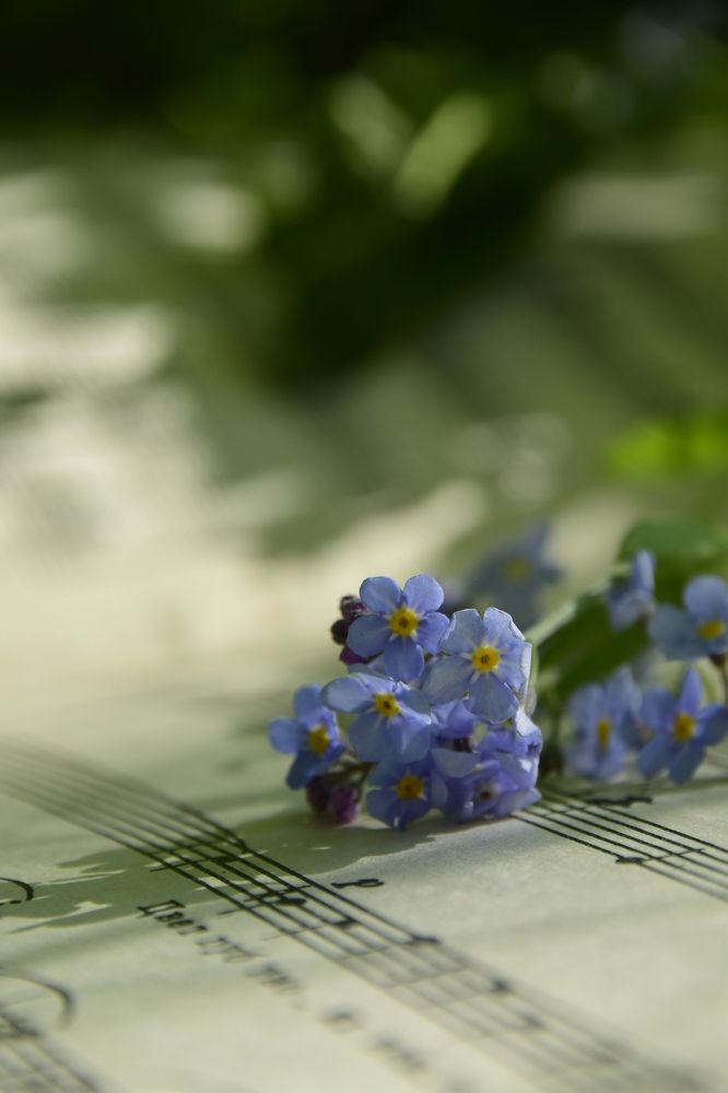 Photograph by Ольга Рыкова