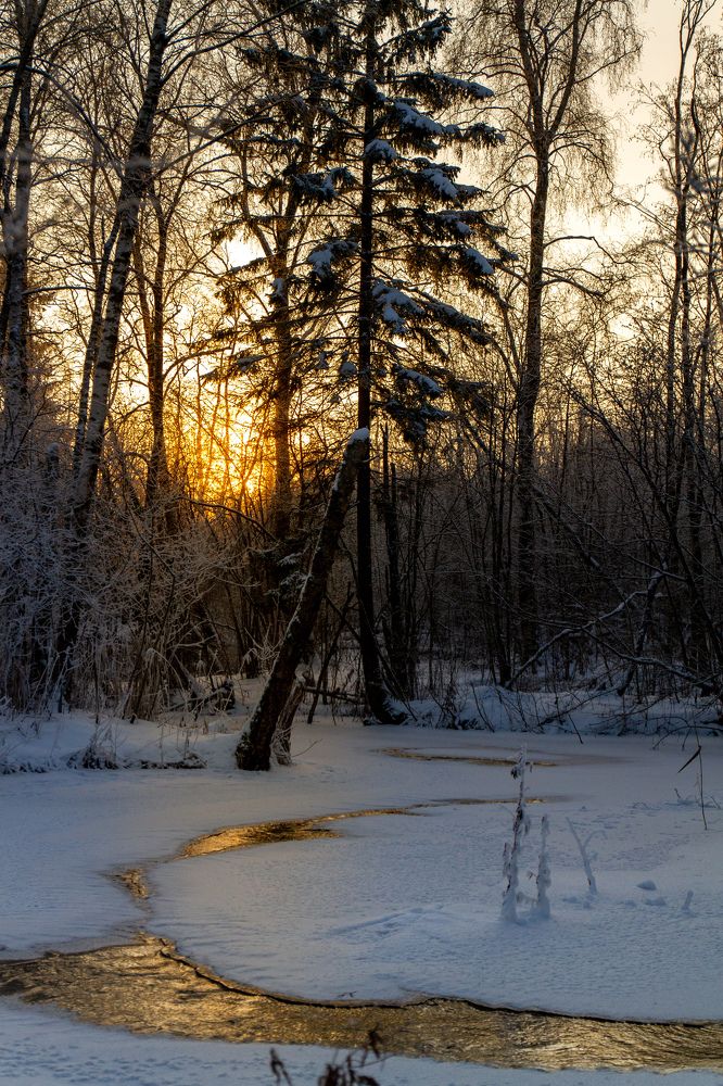 Photograph by Торопов Александр