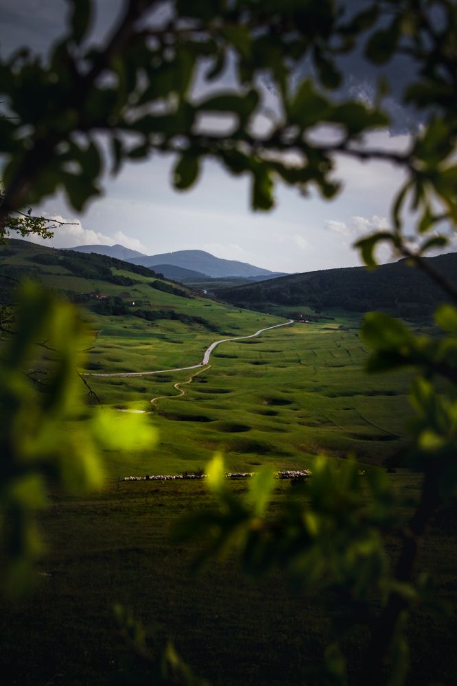 Photograph by Petar Jokanović