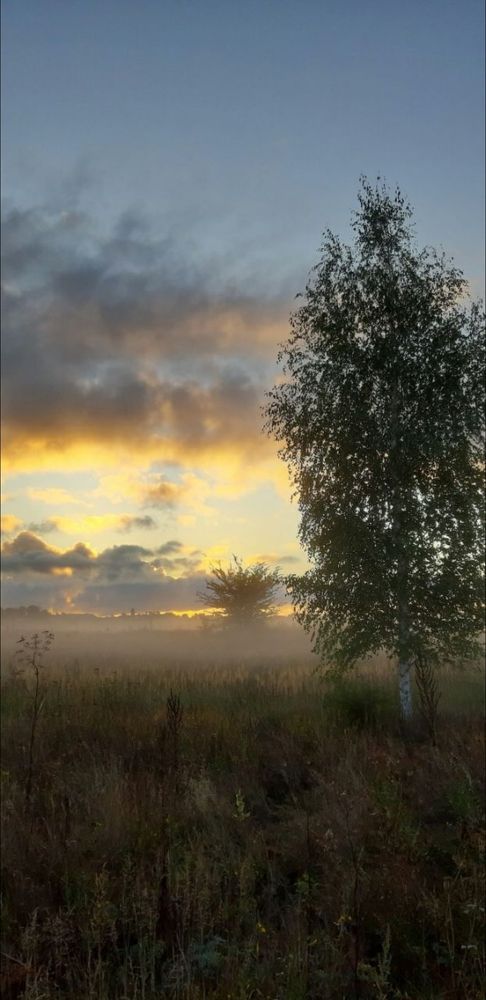 Photograph by Svetlana Nemontova