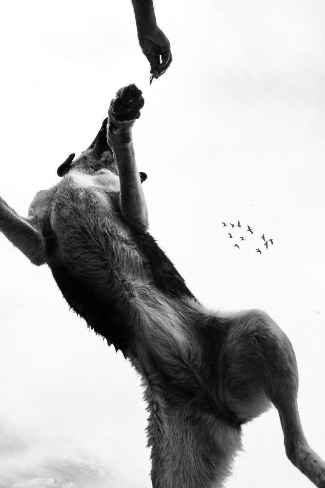 Фотография автора Daniyal Arabzadeh