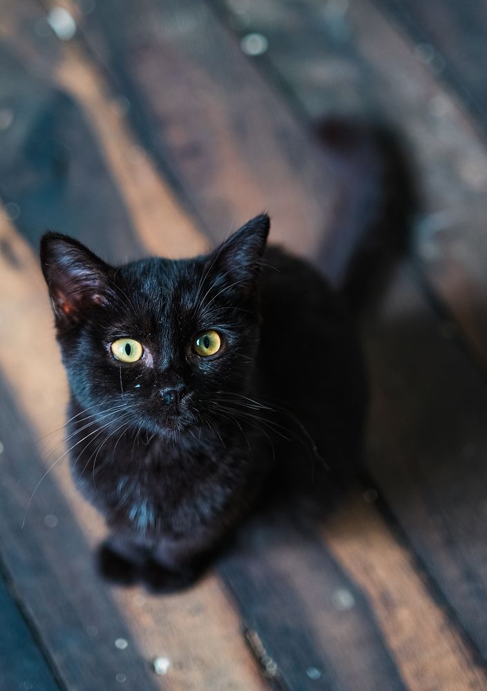 Фотография автора Nguyen Nguyen .N