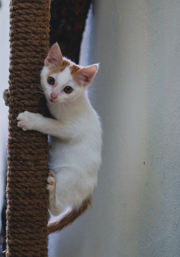 Фотография автора Nguyen Nguyen .N