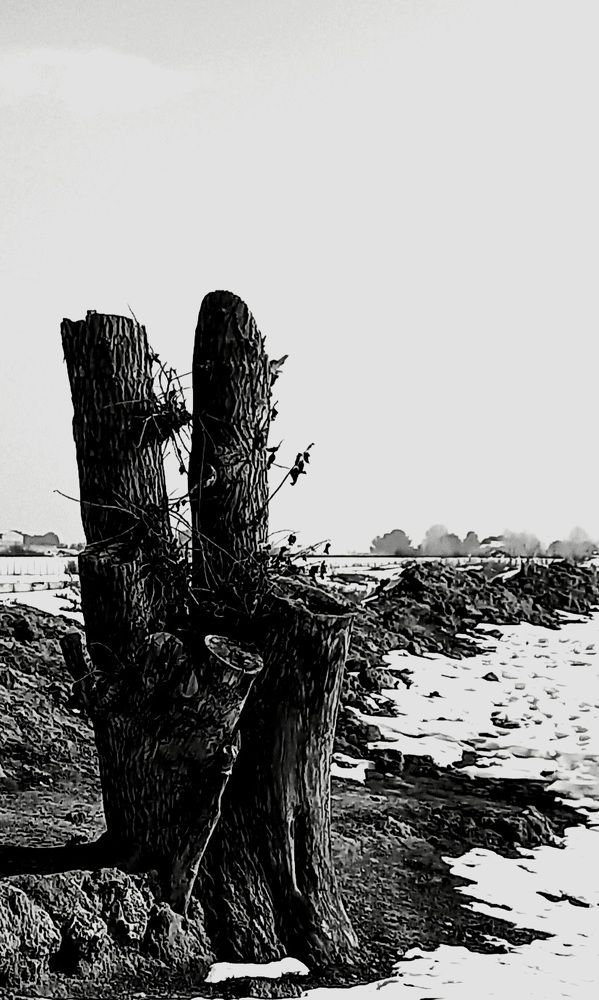 Фотография автора Hamid Reza Abadeh