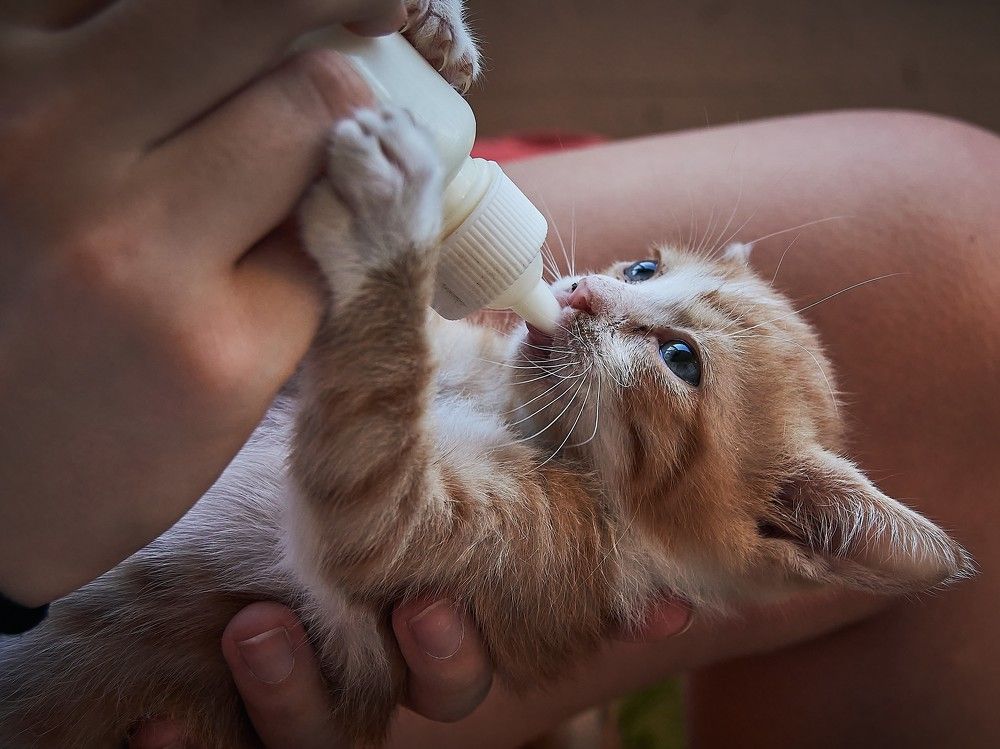 Photograph by Andrea Barlotti