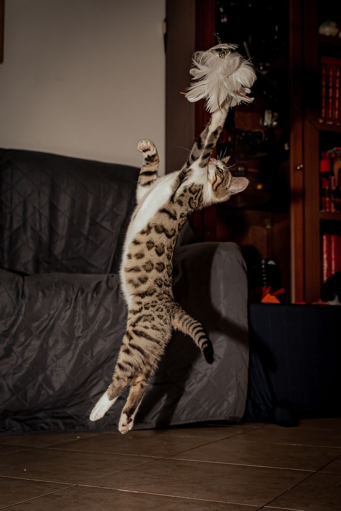 Photograph by Andrea Barlotti