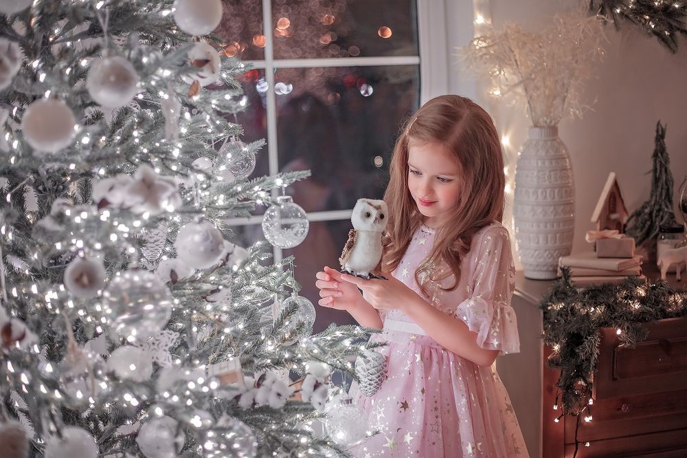 Рождественская сказка