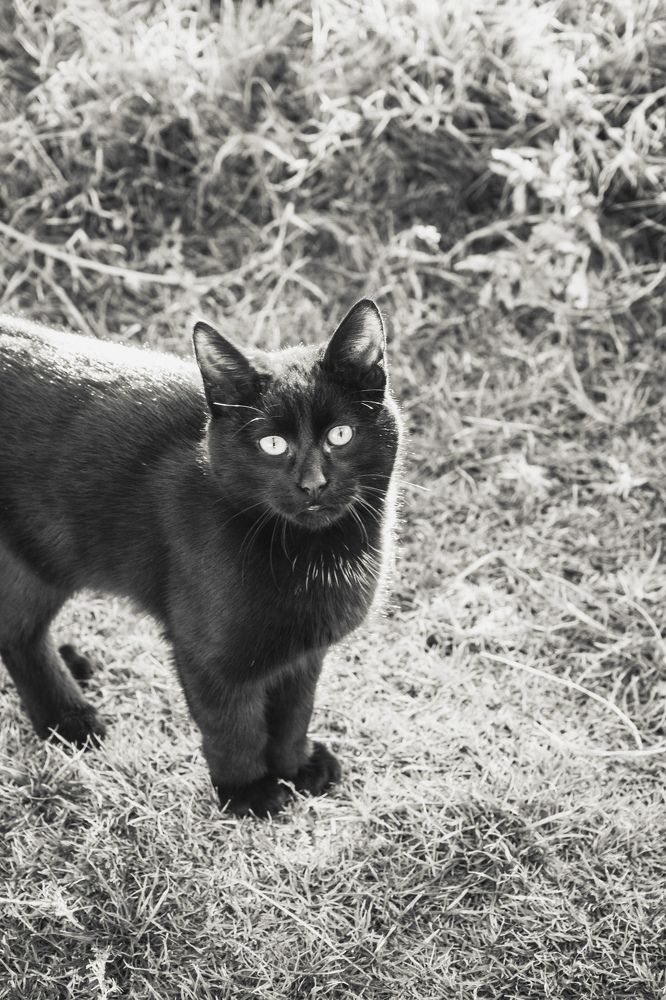 Photograph by Alp Aysgl