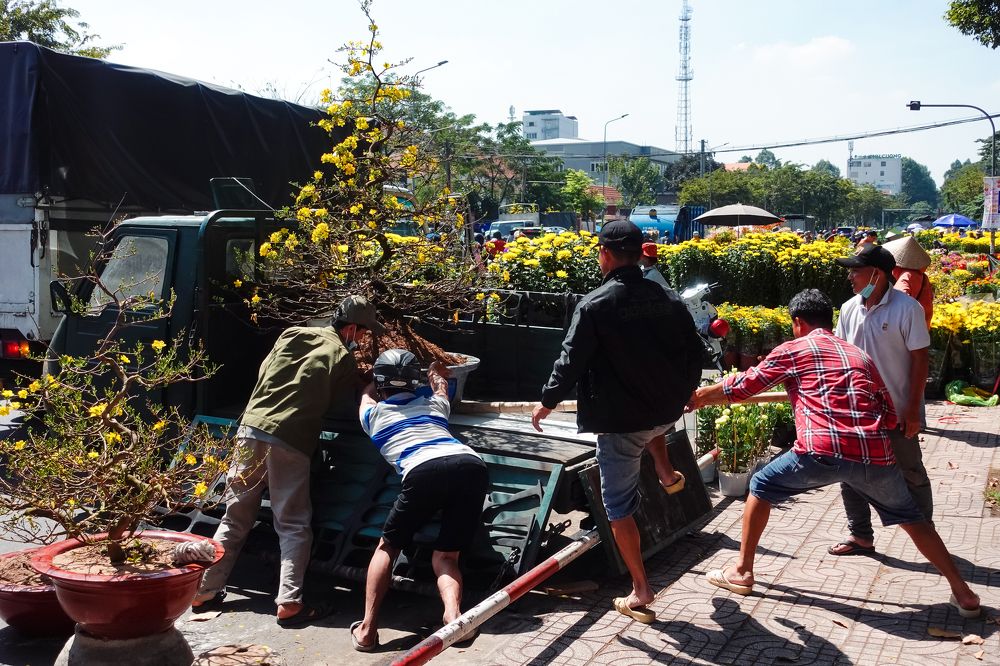 Фотография автора Nguyen Nguyen .N