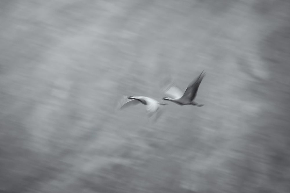 Фотография автора Александр Рудный