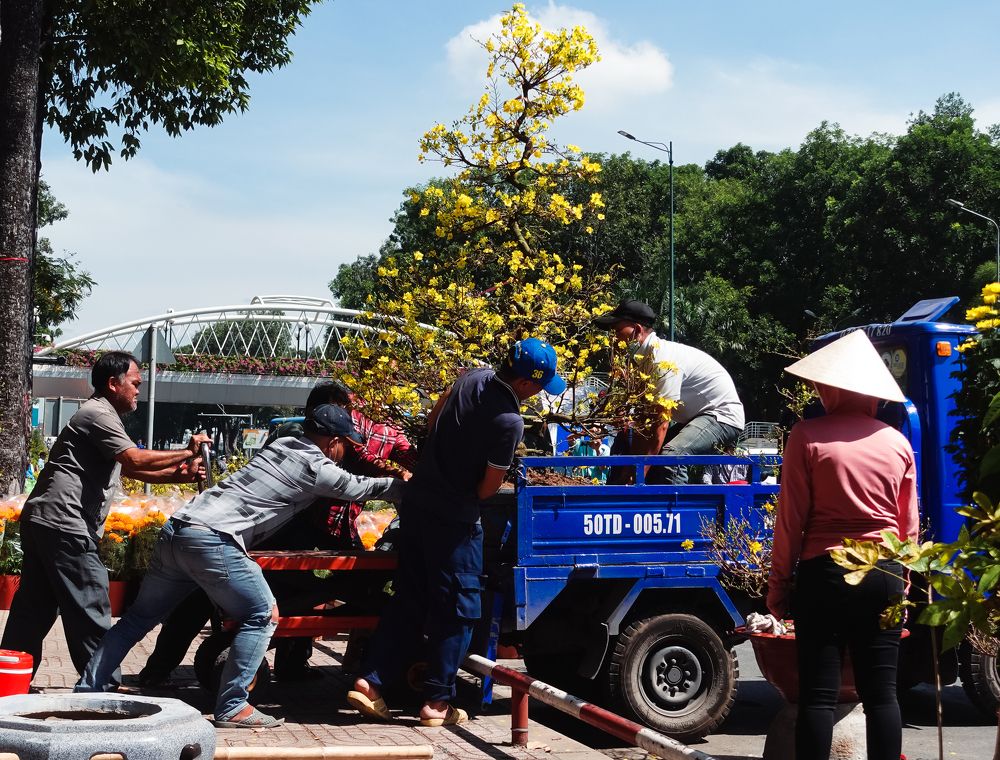 Фотография автора Nguyen Nguyen .N