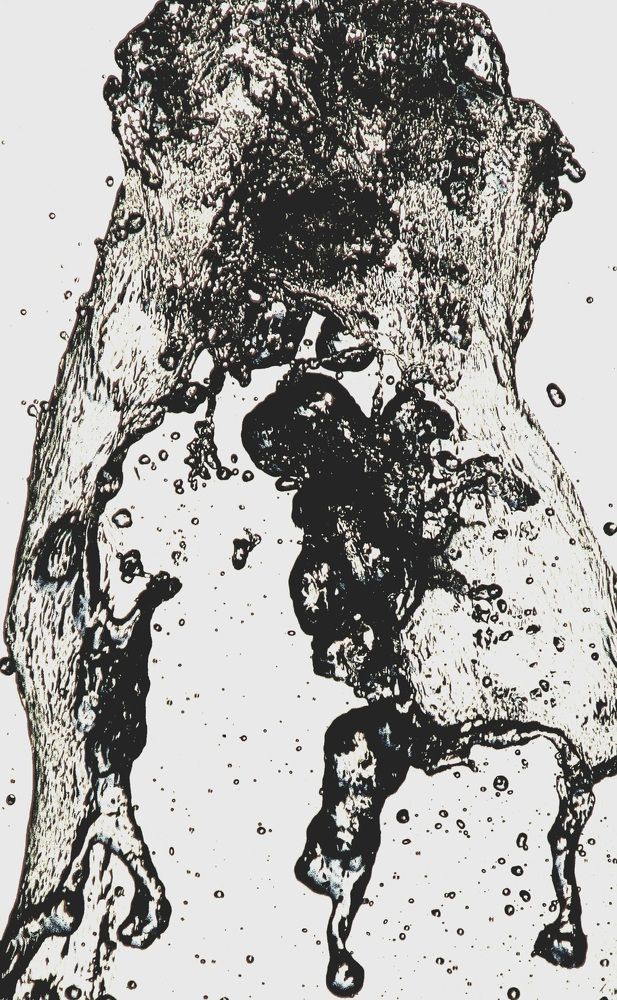 Фотография автора Hamid Reza Abadeh