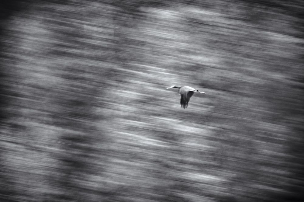 Фотография автора Александр Рудный