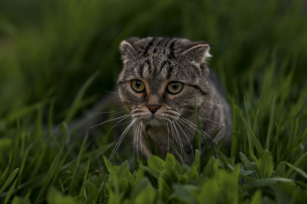 Photograph by Марьям Цимбельман