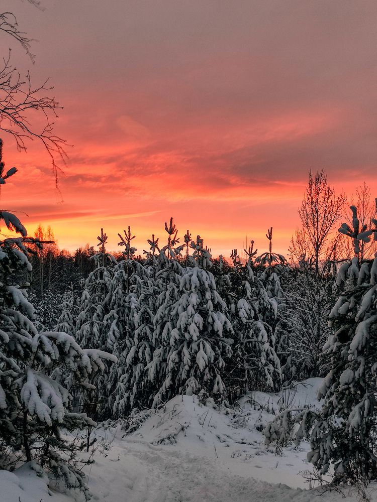 Photograph by Влад Богаткин