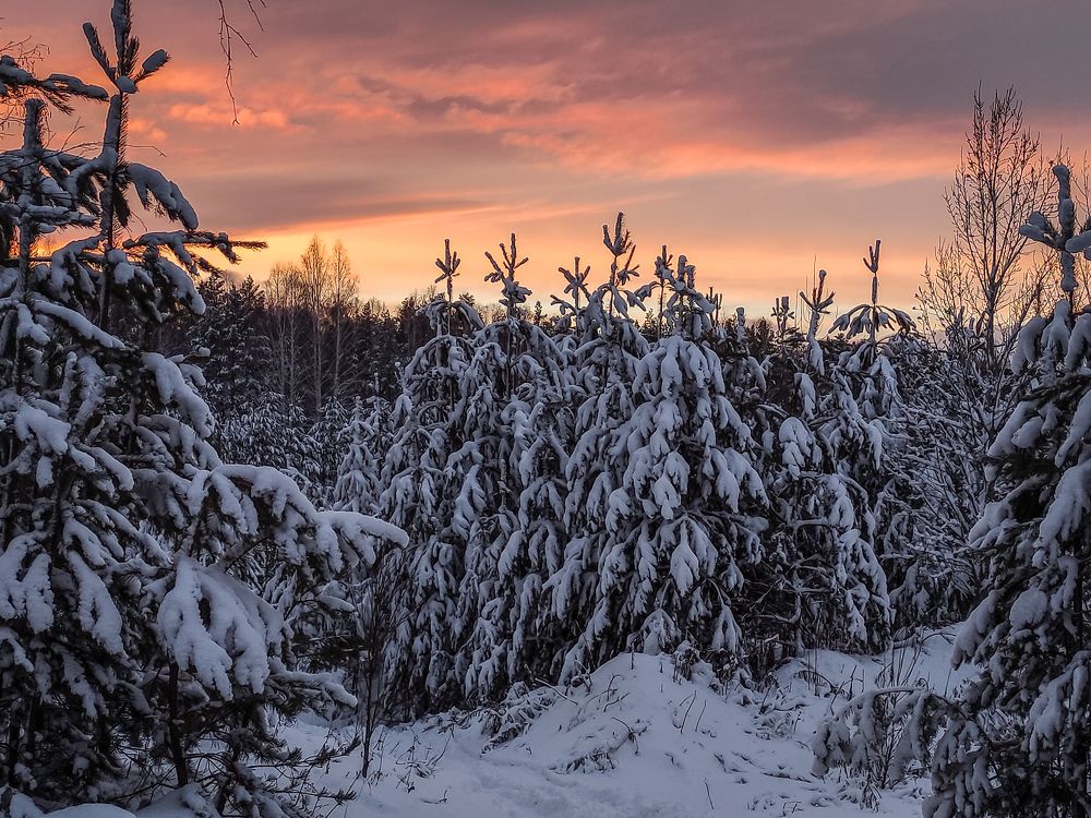 Photograph by Влад Богаткин