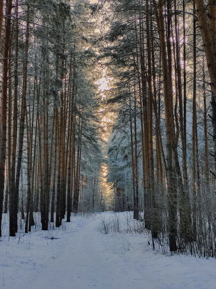 Photograph by Влад Богаткин