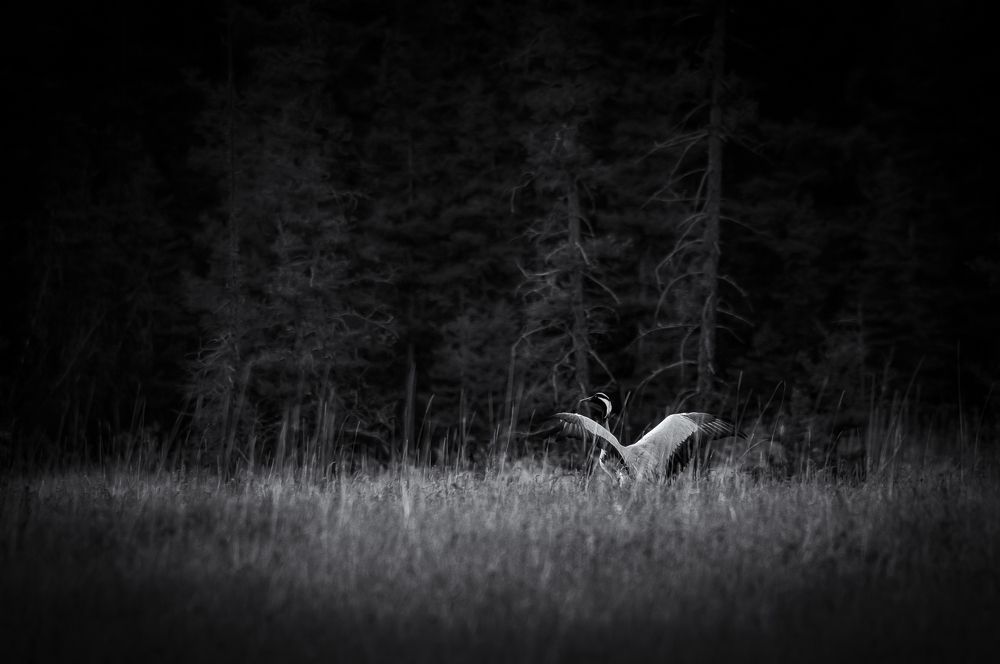 Фотография автора Александр Рудный