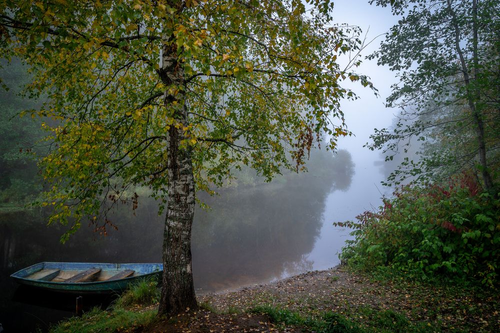 Утро туманное