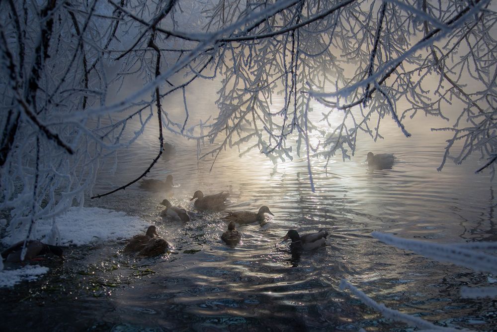 Photograph by Макаренко Денис